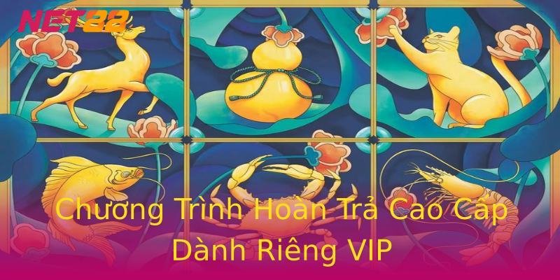 Chương Trình Hoàn Trả Cao Cấp Dành Riêng VIP Chương Trình Hoàn Trả Cao Cấp Dành Riêng VIP